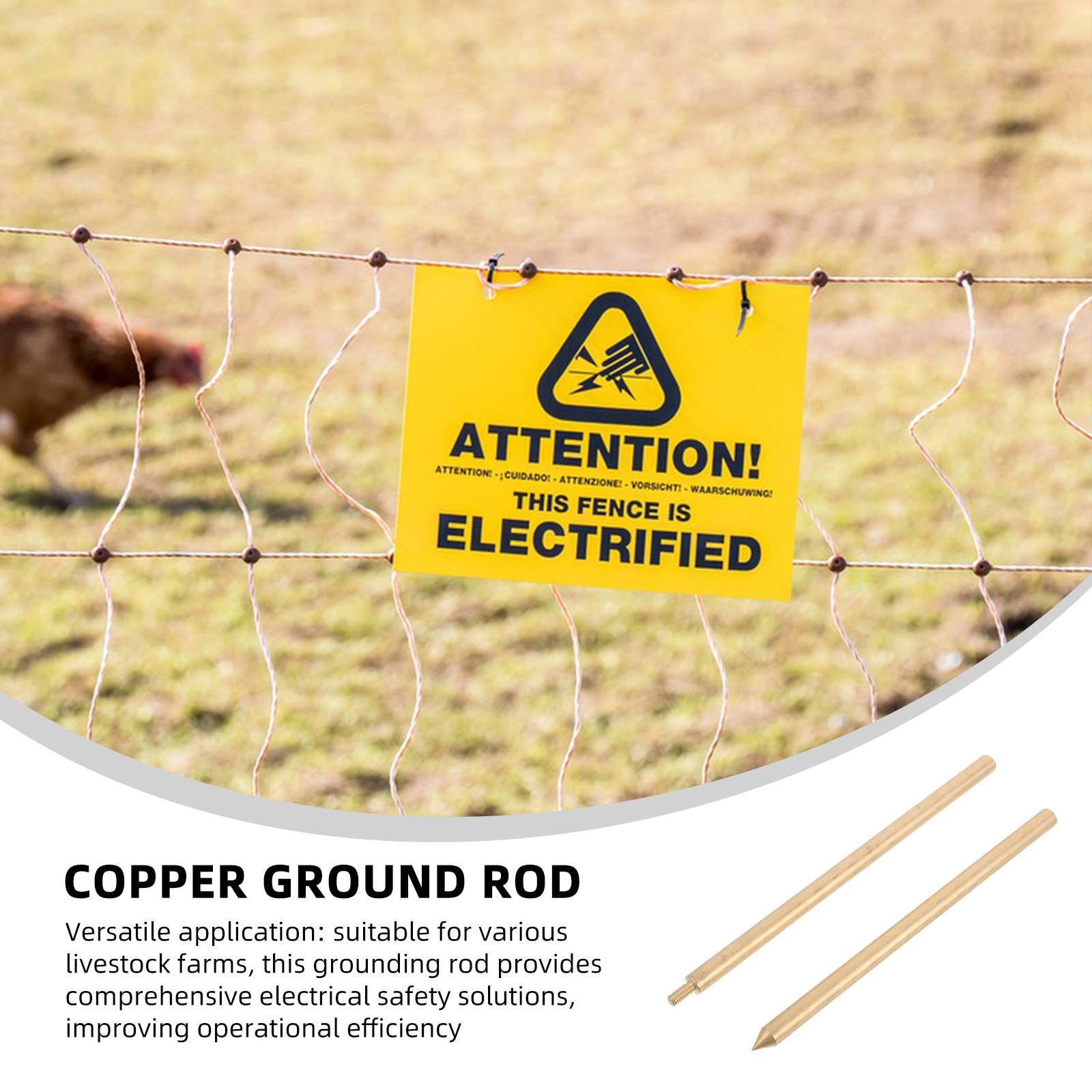 Ground Rod Brass Galvanized 8m - đánh giá và giá Earthing Grounding Rod